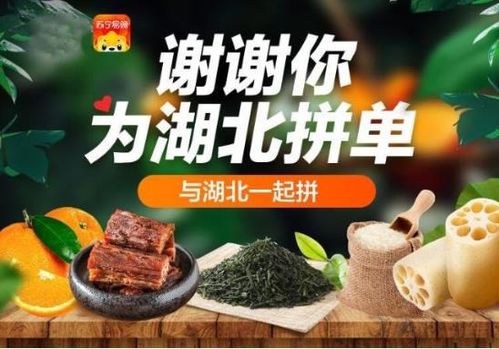 見(jiàn) V 知著,從快遞大數(shù)據(jù)看中國(guó)經(jīng)濟(jì)復(fù)蘇