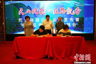創(chuàng)公共品牌促果農(nóng)增收 托克遜借電商拓展農(nóng)副產(chǎn)品銷(xiāo)售渠道